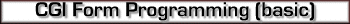 CGI form programming characteristics
